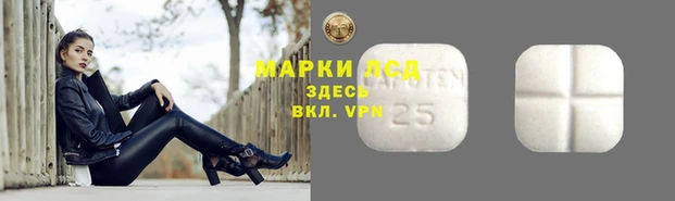 гидропоника Алексеевка