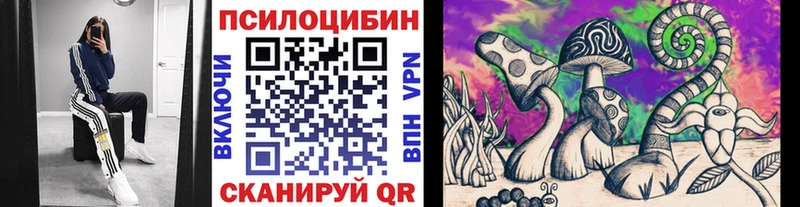 hydra ССЫЛКА  Амурск  Псилоцибиновые грибы MAGIC MUSHROOMS 